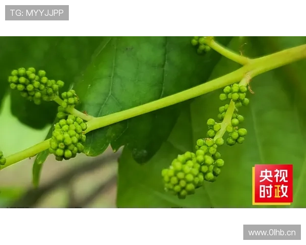 孙准浩居然秒变生活达人？球队训练结束直接去逛超市买菜了！